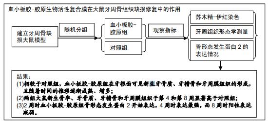 文章快速阅读张旭凤,符起亚,郑根建,郭玉苏,陈丹宇,符方满,吴 慧,王