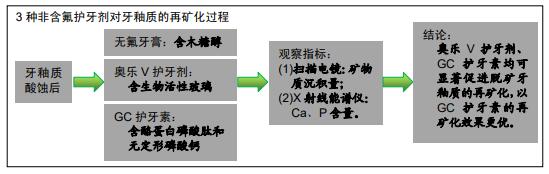 不同非含氟护牙剂对牙釉质酸蚀后再矿化效果影响的体内试验