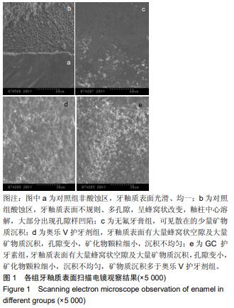 不同非含氟护牙剂对牙釉质酸蚀后再矿化效果影响的体内试验